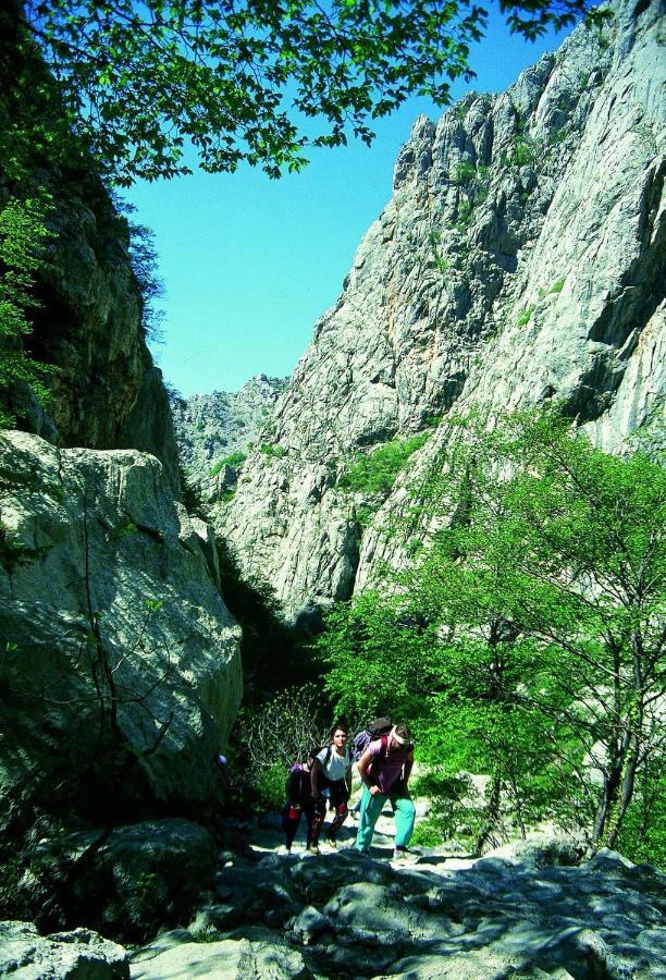 Apartmani Goga Starigrad Paklenica Zewnętrze zdjęcie