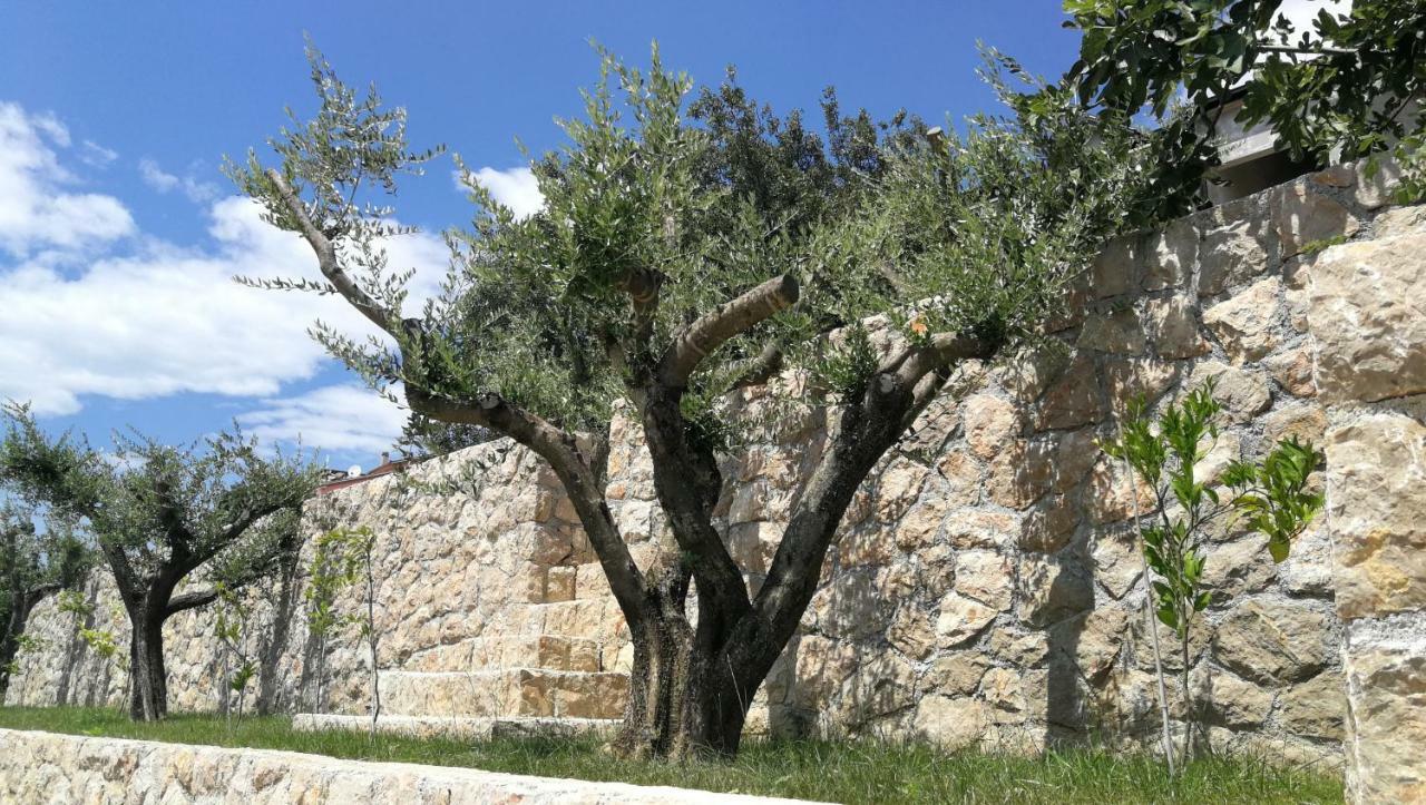 Apartmani Goga Starigrad Paklenica Zewnętrze zdjęcie