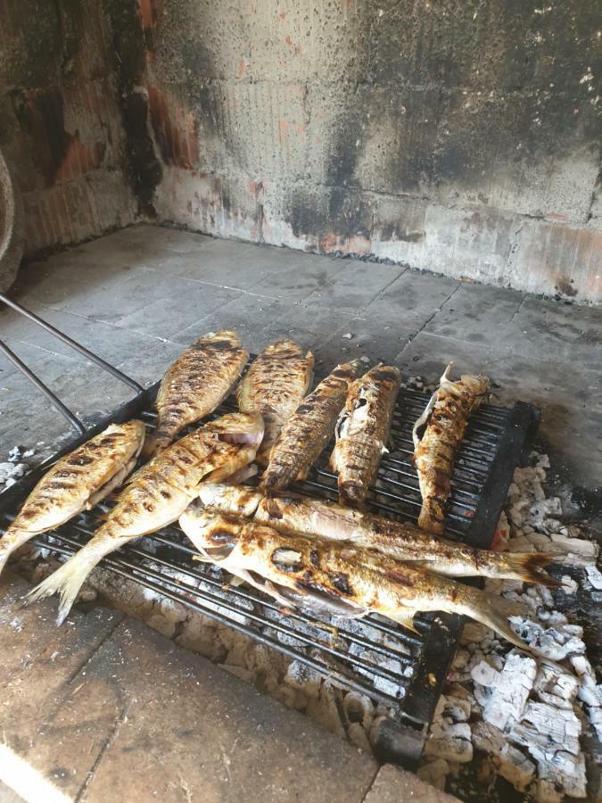 Apartmani Goga Starigrad Paklenica Zewnętrze zdjęcie